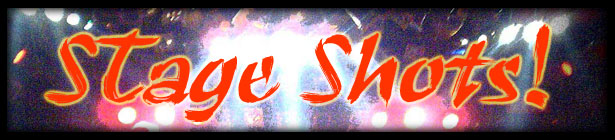 Spector Basses On Stage!!